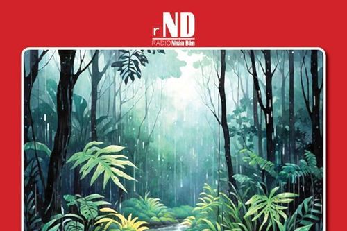 Truyện ngắn: Mưa cuối mùa