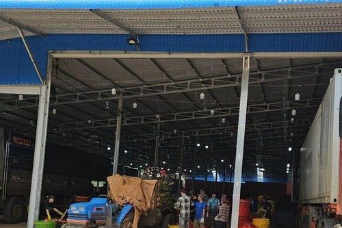 Đắk Lắk: Kiểm điểm 8 tập thể, 22 cá nhân vì để kho bãi sầu riêng 'mọc' tràn lan