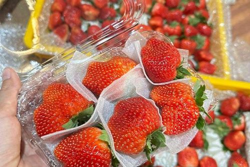 Dâu tây đỏ rực khắp phố, người bán chỉ cách phân biệt giữa dâu ta với dâu Trung Quốc