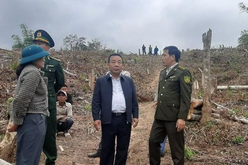 Xử lý nghiêm các cá nhân, tổ chức liên quan đến vụ phá rừng ở vùng biên