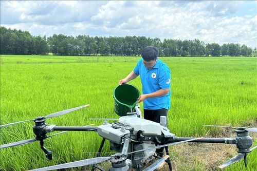 Sandbox - Nguồn lực đột phá cho phát triển
