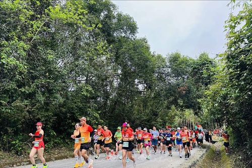 Gần 2.400 vận động viên tham gia giải Quang Binh Discovery Marathon 2024