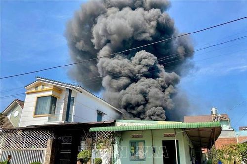 Kịp thời dập tắt đám cháy giữa khu dân cư tại thành phố Gia Nghĩa