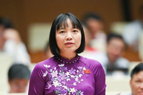 ĐBQH: Bồi dưỡng nhân tài là nhiệm vụ chung, không phải chỉ riêng một trường