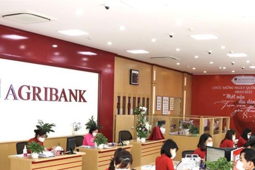 Một công ty có vốn điều lệ 12 tỷ đồng nợ Agribank gần 200 tỷ đồng