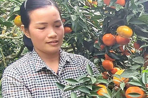 Chị Việt làm kinh tế giỏi