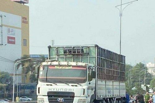 Hai người tử vong thương tâm trên cầu vượt