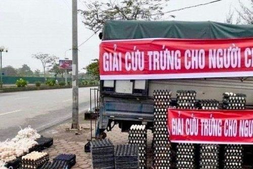 Bất ngờ khắp nơi rao bán trứng với giá 'siêu rẻ', người nuôi gà đẻ nói gì?