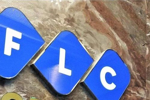 FLC nợ trái phiếu và bảo hiểm xã hội hơn 1.000 tỷ đồng