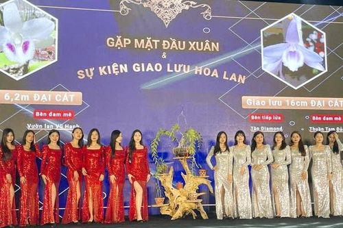 Lan 'đột biến' đang tái... đột biến giá trên trời