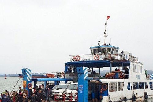 Hải Phòng: Du khách ra Cát Bà sẽ được đi trên 5 phà mới hơn 130 tỷ