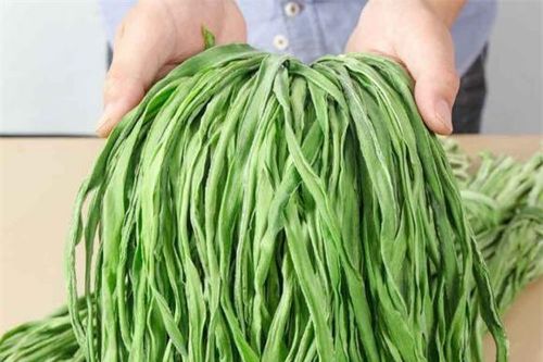 Rau tiến vua là rau gì mà đắt gấp 40 lần rau thường? Cách làm món gỏi rau tiến vua ngũ sắc ăn rất 'bắt miệng'