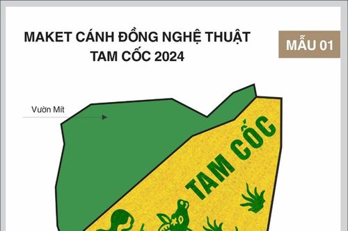 Xuất hiện bức tranh 'Mục đồng thổi sáo' trên cánh đồng Tam Cốc