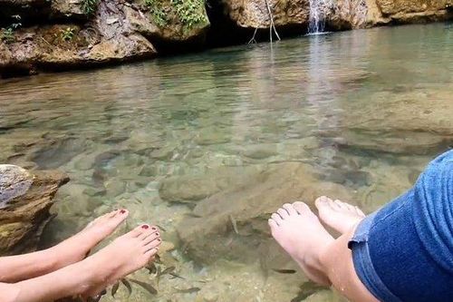 Lên núi trải nghiệm dịch vụ 'massage cá' độc đáo