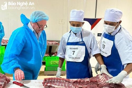 Những vấn đề lao động Nghệ An muốn sang Úc làm việc cần quan tâm