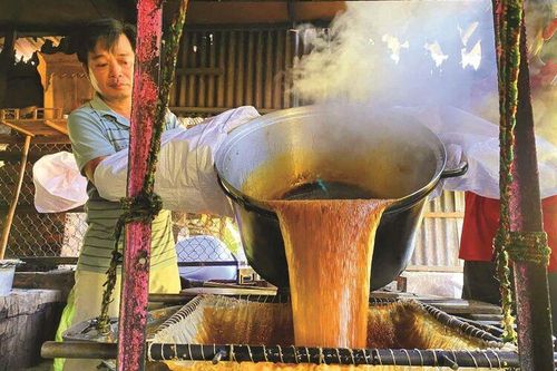 'Thủ phủ' thốt nốt