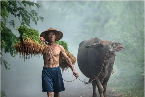 Văn hóa thanh niên thực chất và hiểu biết