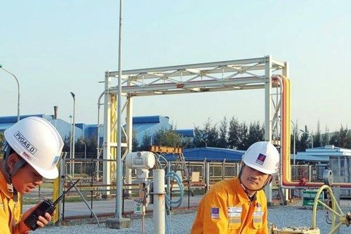 PV GAS D bị xử phạt thuế 1,62 tỷ đồng