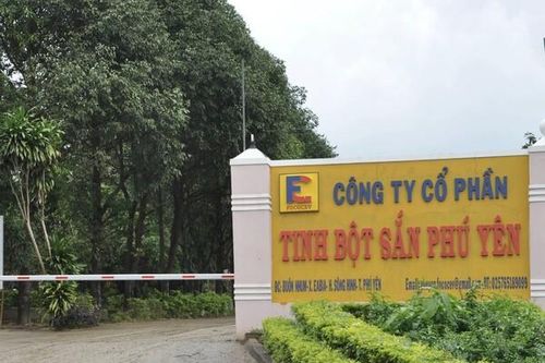 Phú Yên: Xử phạt Công ty tinh bột sắn Phú Yên hơn 3 tỷ đồng vì xả thải ra môi trường