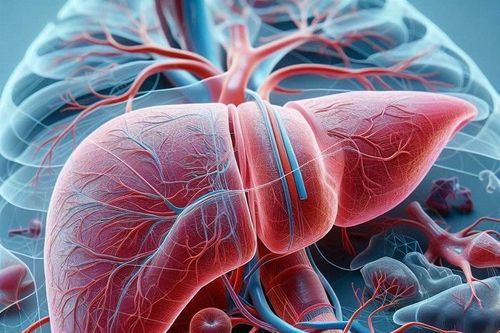 Áp xe gan: Nguyên nhân, triệu chứng, cách điều trị và phòng bệnh