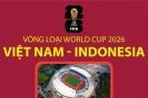Vòng loại World Cup 2026: Thông tin trước trận đấu, đội hình dự kiến Việt Nam và Indonesia