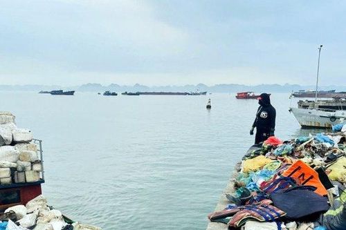 Quảng Ninh: Ra quân dọn rác trên vịnh Hạ Long