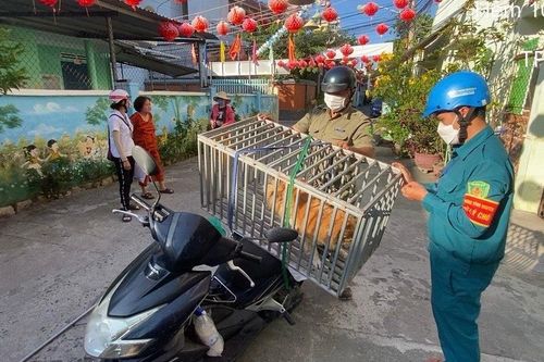 Nha Trang: Chỉ đạo tăng cường đảm bảo vệ sinh môi trường