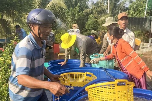 Khai thác hiệu quả tiềm năng đất đai