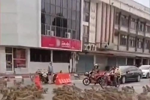 Hai đàn khỉ dàn trận đánh nhau giữa phố ở Thái Lan