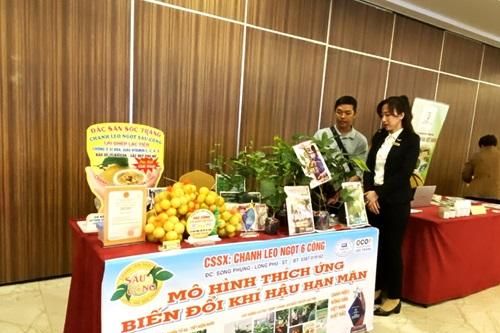 Hỗ trợ doanh nghiệp Đồng bằng sông Cửu Long chuyển đổi xanh, giảm phát thải
