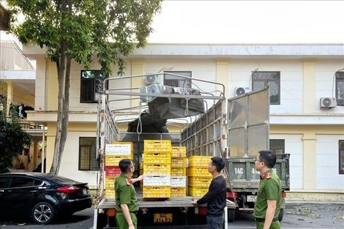 Thu giữ hơn 10.000 quả trứng gia cầm không rõ nguồn gốc