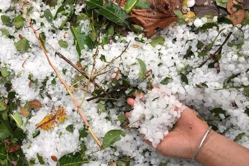 Miền Bắc liên tiếp hứng chịu mưa đá, chuyên gia lý giải nguyên nhân?