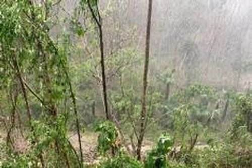 Dự báo thời tiết tháng 4/2024: Không khí lạnh yếu, nắng nóng đầu mùa ở miền Bắc