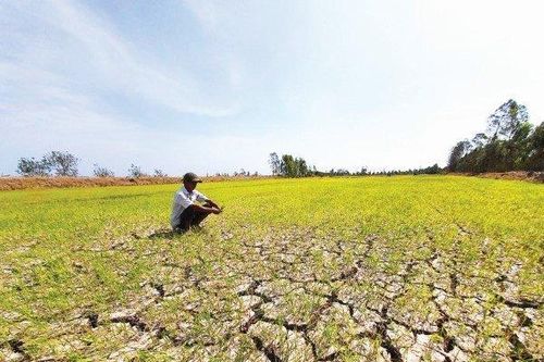 Thủ tướng chỉ đạo không để người dân thiếu nước sinh hoạt