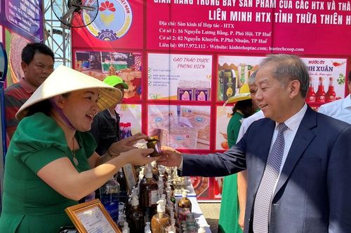 Phát động 'Tháng hành động vì hợp tác xã' năm 2024