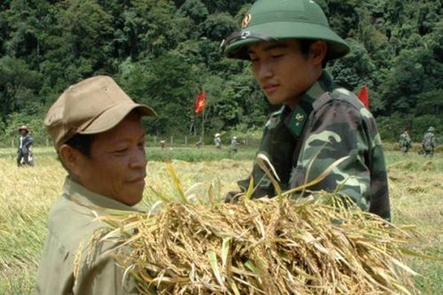 15 năm bền bỉ 'theo đuổi' hạt thóc ở biên giới