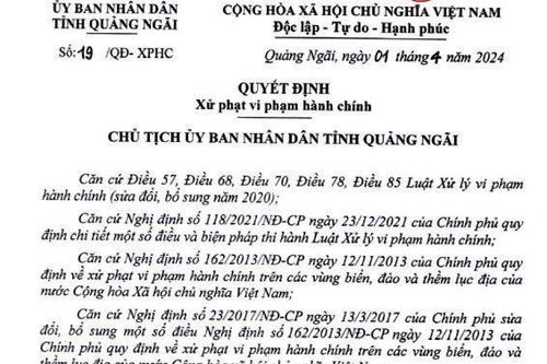 Một doanh nghiệp dăm gỗ ở Quảng Ngãi bị xử phạt và thu hồi hơn 326 triệu đồng