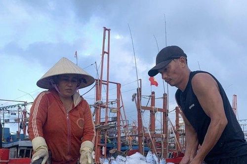 Làng biển có doanh thu hơn 50 tỷ đồng trong tháng 3: Hé lộ mức thu nhập của ngư dân