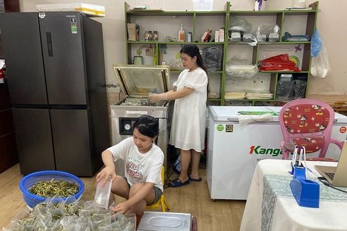 Loại cây thường trồng lấy củ, nay hái lá làm món này thu về hàng triệu đồng