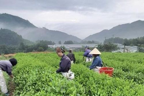 Quân Chu đổi thay sau một năm sáp nhập