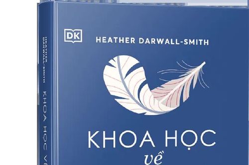 Khoa học về giấc ngủ: Tối qua bạn ngủ có ngon không?