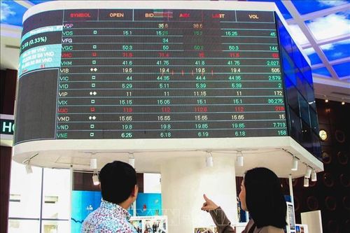 Quy mô vốn hóa thị trường cổ phiếu đạt khoảng 6,66 triệu tỷ đồng