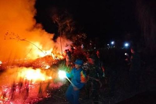 Khống chế thành công cháy rừng trong đêm