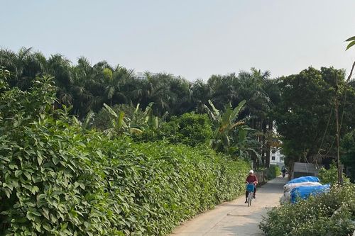Cụ Hoa Quý Khâm và đường Dãy Sòi