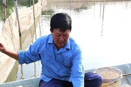 Anh nông dân đút túi 1 tỷ/năm nhờ nuôi con vật quen thuộc 'thích nước'