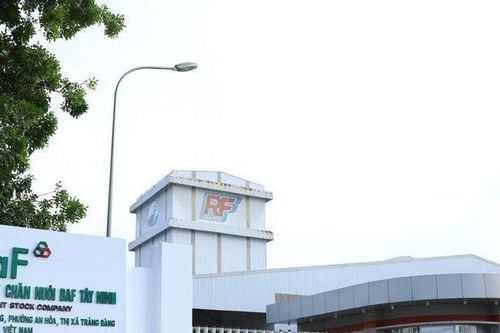 Một công ty chăn nuôi lên kế hoạch năm 2024 báo lãi tăng 10 lần