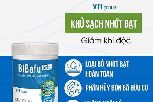 Bí quyết xử lý nhớt ao bạt không mất nhiều chi phí