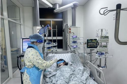 TPHCM: Bé gái 6 tuổi nguy kịch do nhiễm vi khuẩn não mô cầu