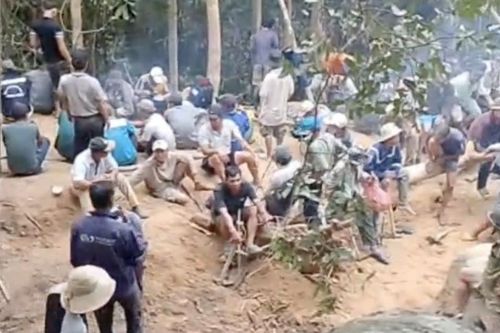 Phú Yên: Sẽ xử nghiêm người vào rừng chặt phá, tìm trầm trái phép