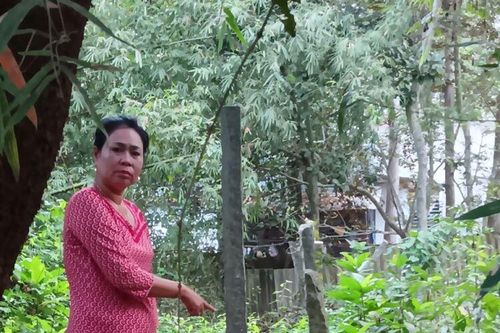 Khiếu nại chậm thi hành quyết định của tòa án